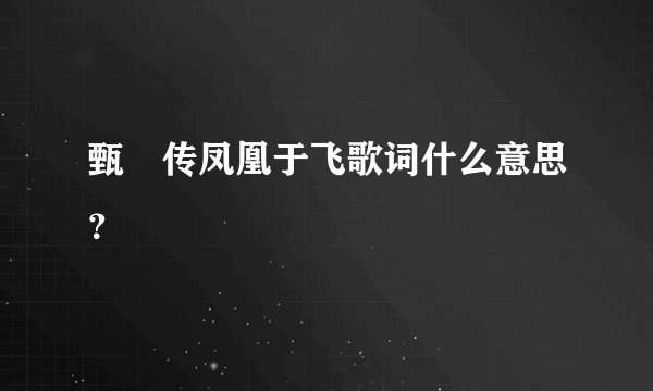 甄嬛传凤凰于飞歌词什么意思？