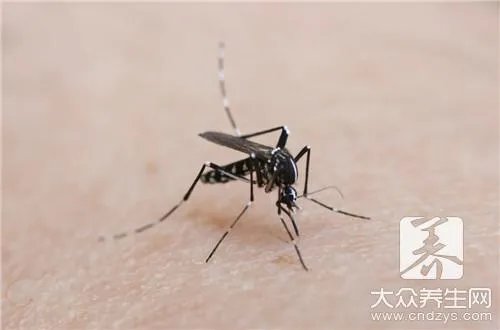 鼬蜓对人的危害