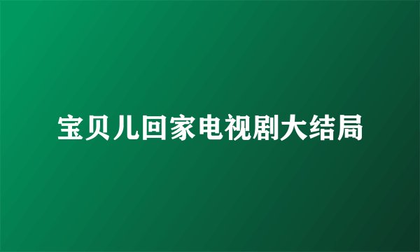 宝贝儿回家电视剧大结局