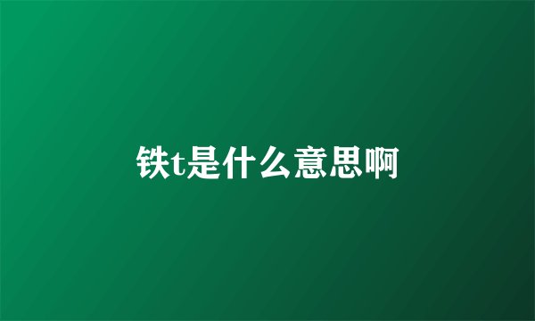 铁t是什么意思啊