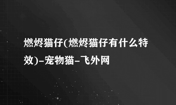 燃烬猫仔(燃烬猫仔有什么特效)-宠物猫-飞外网