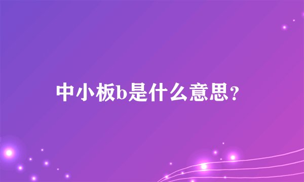 中小板b是什么意思？