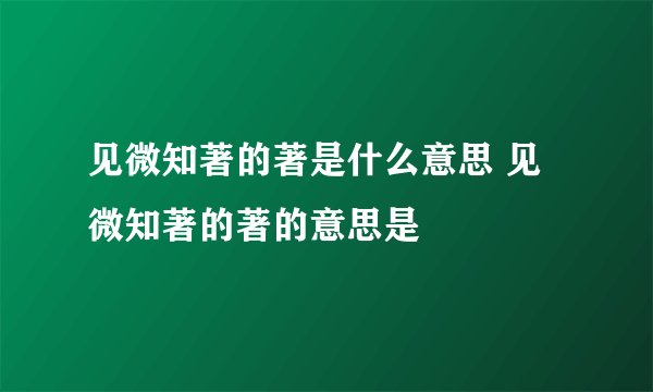 见微知著的著是什么意思 见微知著的著的意思是