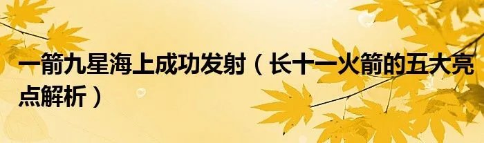 一箭九星海上成功发射（长十一火箭的五大亮点解析）