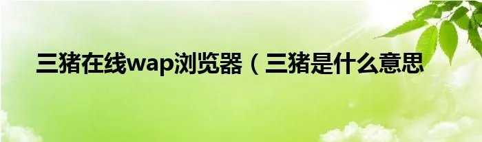 三猪在线wap浏览器（三猪是什么意思