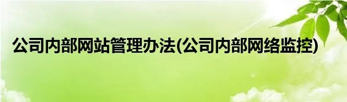 公司内部网站管理办法(公司内部网络监控)