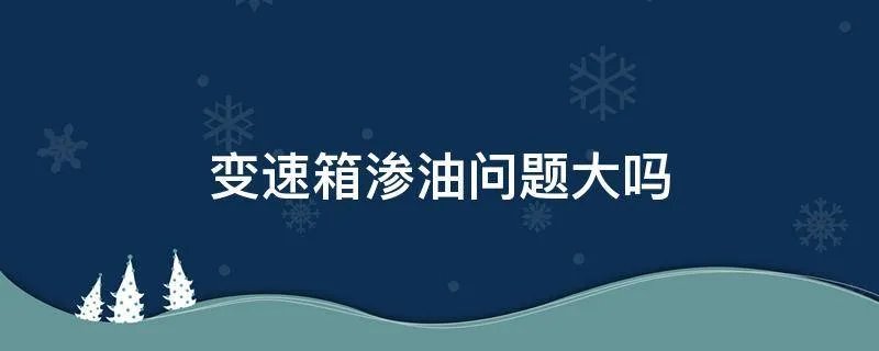 变速箱渗油问题大吗