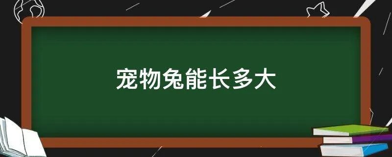 宠物兔能长多大