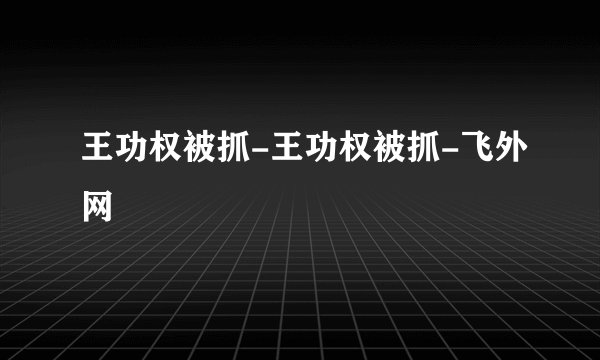 王功权被抓-王功权被抓-飞外网