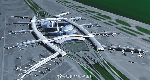 网友称广东最大的蟑螂是白云机场 官方亲自下场认领