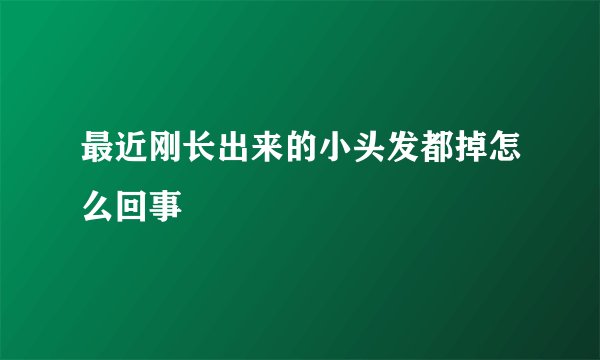 最近刚长出来的小头发都掉怎么回事