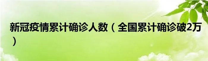 新冠疫情累计确诊人数（全国累计确诊破2万）