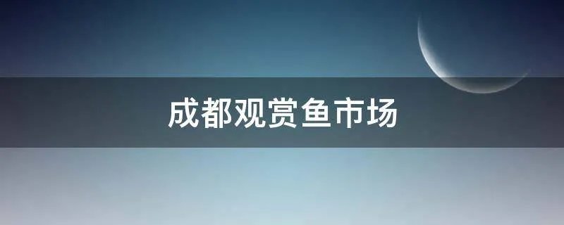 成都观赏鱼市场