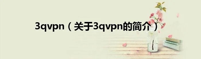 3qvpn(关于3qvpn的简介)