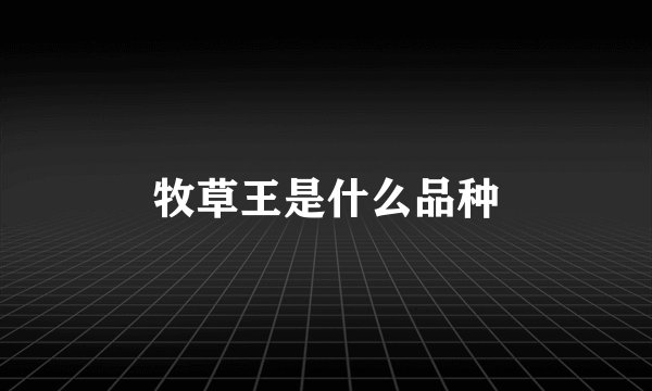 牧草王是什么品种