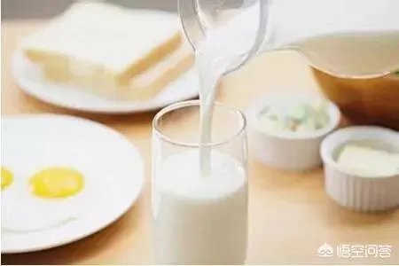 豆浆可不可以代替牛奶?你怎么看?
