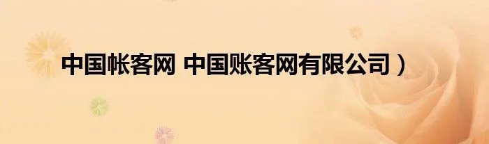 中国帐客网 中国账客网有限公司）