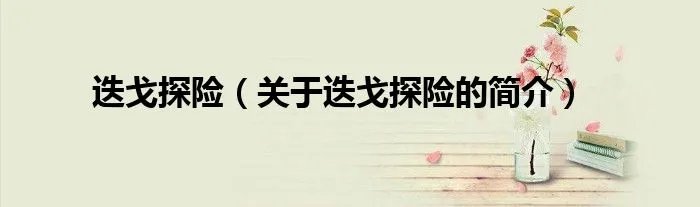 迭戈探险（关于迭戈探险的简介）