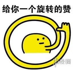 小狗8个星期学会开车 世界上首只会开车的狗
