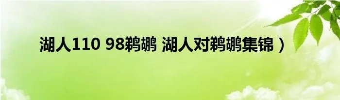湖人110 98鹈鹕 湖人对鹈鹕集锦)