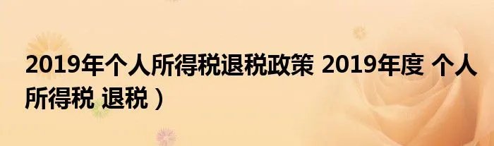 2019年个人所得税退税政策 2019年度 个人所得税 退税）