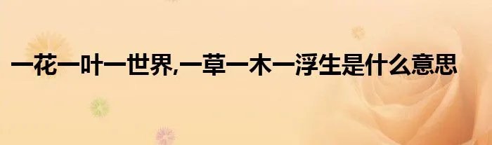 一花一叶一世界,一草一木一浮生是什么意思