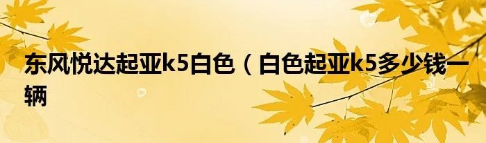 东风悦达起亚k5白色（白色起亚k5多少钱一辆