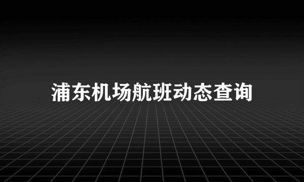 浦东机场航班动态查询