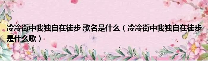 冷冷街中我独自在徒步 歌名是什么(冷冷街中我独自在徒步是什么歌)