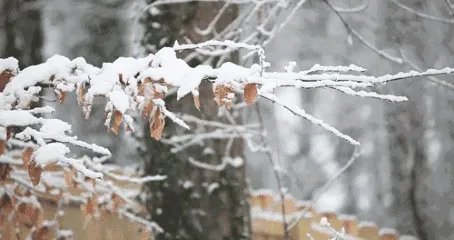 最冷的冬天是怎样的呢？