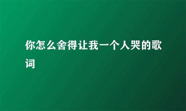 你怎么舍得让我一个人哭的歌词