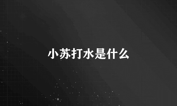 小苏打水是什么