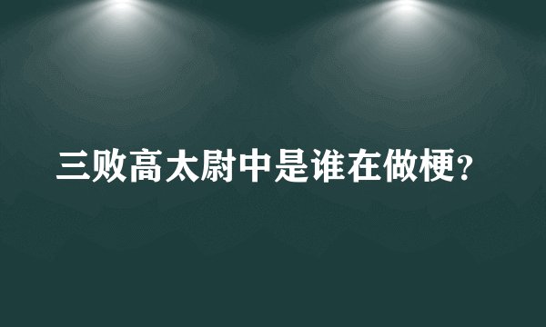 三败高太尉中是谁在做梗？