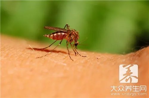 ​鼬蜓对人的危害   