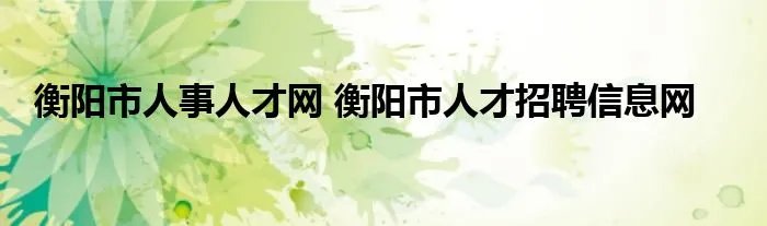 衡阳市人事人才网 衡阳市人才招聘信息网