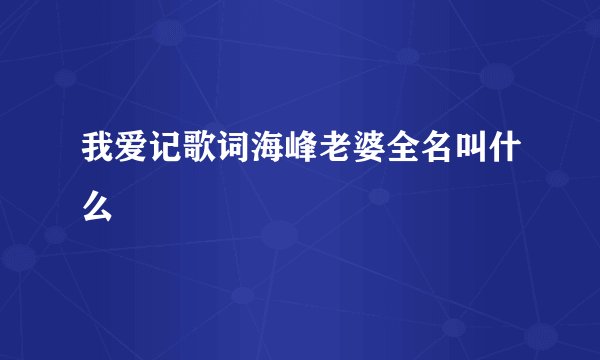 我爱记歌词海峰老婆全名叫什么