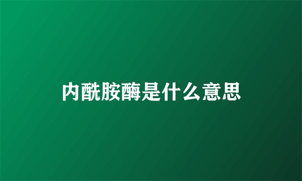 内酰胺酶是什么意思