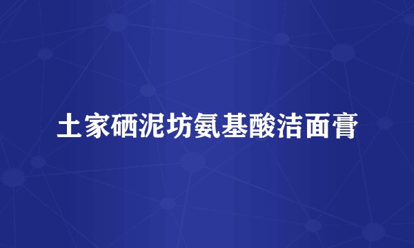 土家硒泥坊氨基酸洁面膏