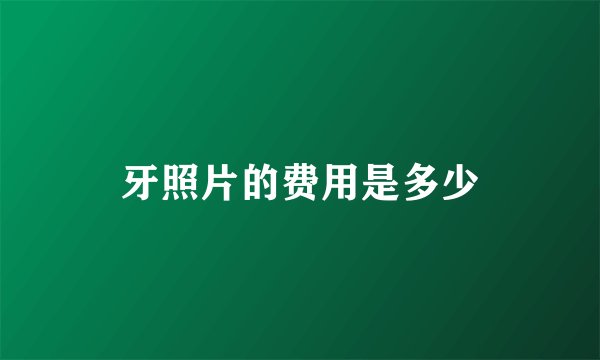 牙照片的费用是多少