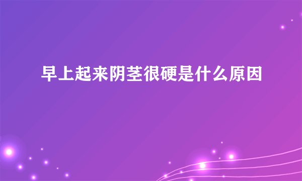 早上起来阴茎很硬是什么原因