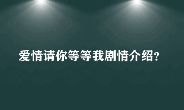 爱情请你等等我剧情介绍?