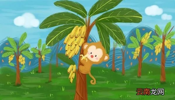 猕猴群休息时,一般由谁站岗 猕猴群休息时一般有谁站岗