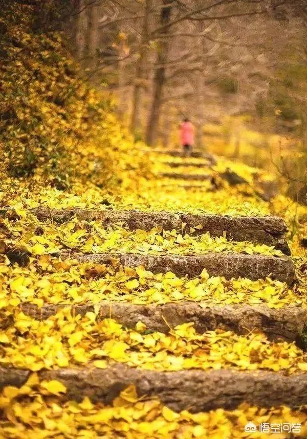 水没坪村