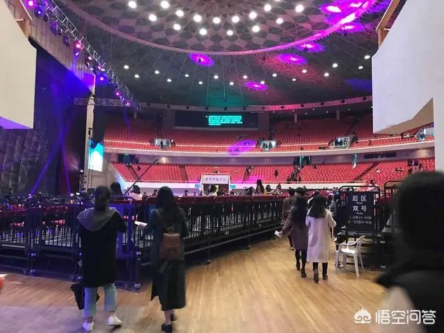 一个人去看演唱会是什么感觉?