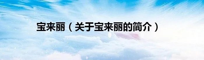 宝来丽（关于宝来丽的简介）