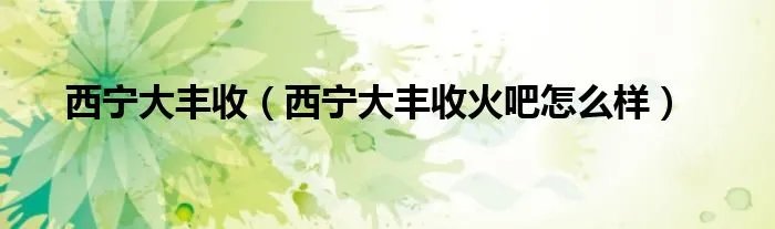 西宁大丰收（西宁大丰收火吧怎么样）