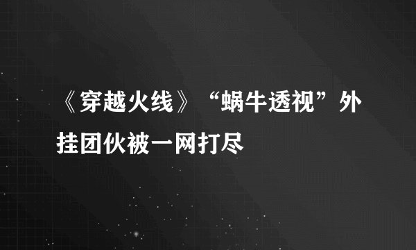 《穿越火线》“蜗牛透视”外挂团伙被一网打尽