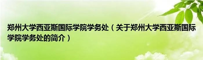 郑州大学西亚斯国际学院学务处（关于郑州大学西亚斯国际学院学务处的简介）