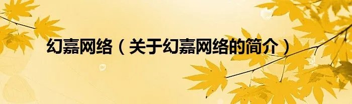 幻嘉网络（关于幻嘉网络的简介）