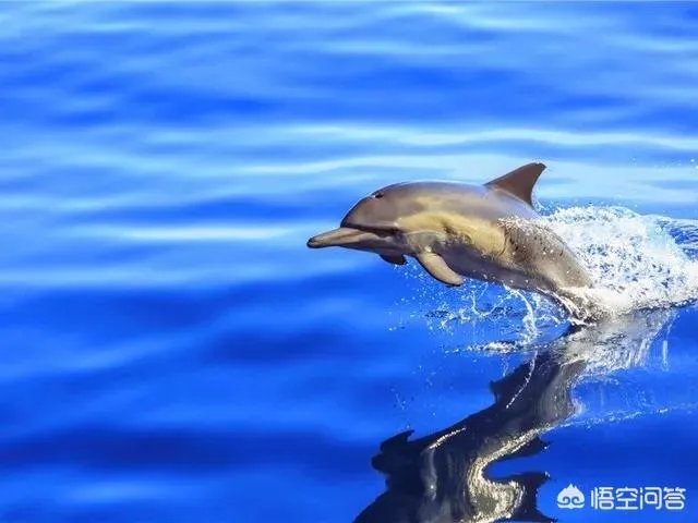 热浪岛旅游攻略有哪些？